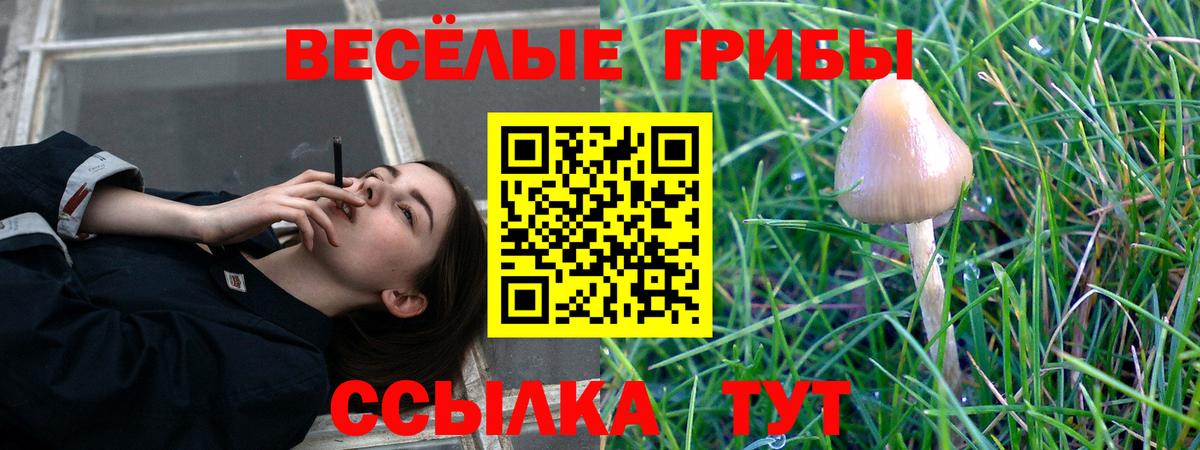 купить наркотики цена  Вход с VPN  Воронеж  Галлюциногенные грибы мухоморы 